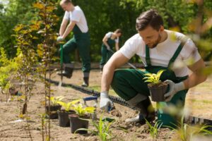 men gardening as employees of someone starting a landscaping business